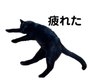 727368602