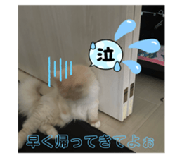 727369742