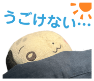 727370554