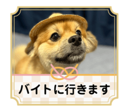 727373191