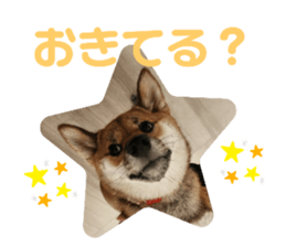 727373310