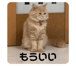 727381319