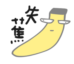 727393997
