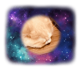 727402146