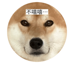 727423042