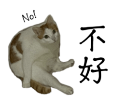 727423426