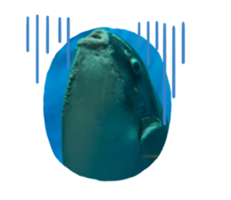 727448768