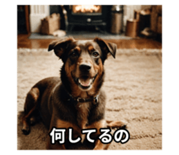 727457107