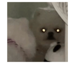 727524170