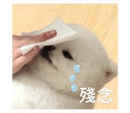 727524601