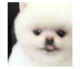 727524610
