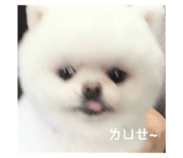 727524612
