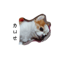 727525176