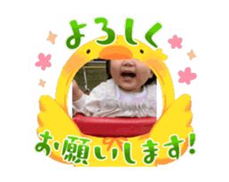 727530990