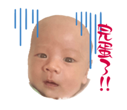 727534198