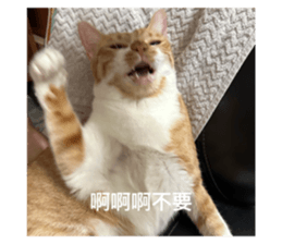 727534220