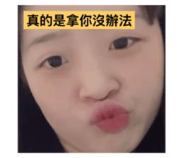 727534296