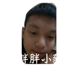 727534504