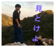 727534864