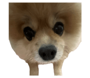 727536698