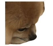 727536702