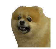 727536703