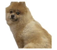 727536708