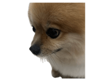 727536713