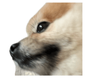 727536718