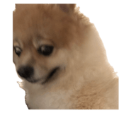 727536719