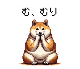 727544979