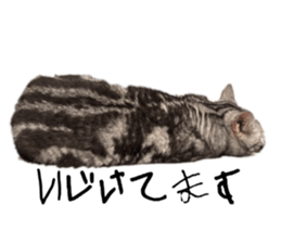 727547019