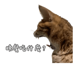 727549151