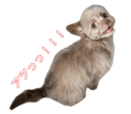 727551064