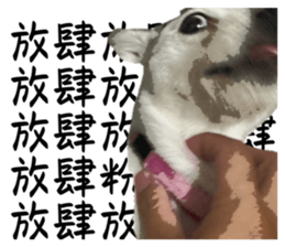 727551310