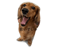 727552508