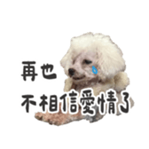 727558555