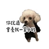 727558559