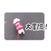 727558565