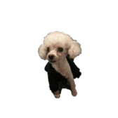 727558567