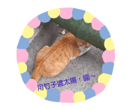 727562715