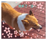 727562719