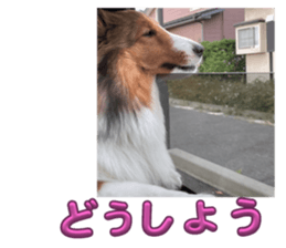 727563770