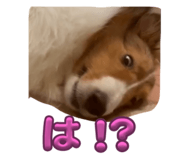 727563771
