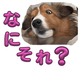 727563776