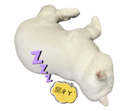 727565345