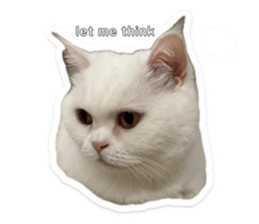 727565350