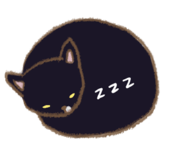 727579950