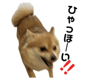 727585767