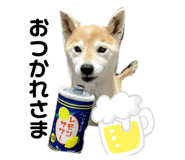 727590249